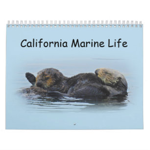 Calendrier Calendrier, espèce marine, la Californie