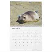 Calendrier Calendrier, espèce marine, la Californie (Mar 2027)