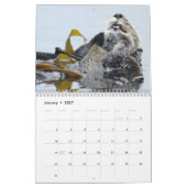 Calendrier Calendrier, espèce marine, la Californie (Jan 2027)