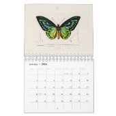 CALENDRIER CALENDRIER: L'ART DE L'HISTOIRE NATURELLE (Jan 2026)