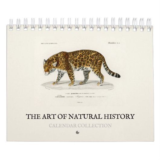 CALENDRIER CALENDRIER: L'ART DE L'HISTOIRE NATURELLE (Protection)