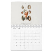 CALENDRIER CALENDRIER: L'ART DE L'HISTOIRE NATURELLE (Mar 2026)