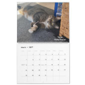 Calendrier .Calendrier Precious Paws 2025. (Mar 2027)