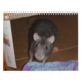 Calendrier Calendrier: Rat & Mouse Love (Protection)