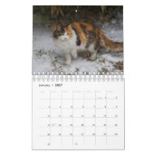 Calendrier Calico Cat (Jan 2027)