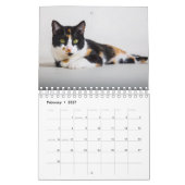 Calendrier Calico Cat (Feb 2027)