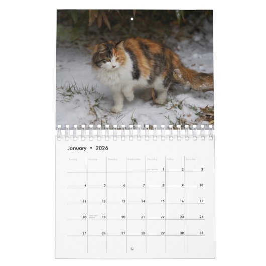 Calendrier Calico Cat (Jan 2026)