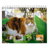 Calendrier Calico Cat (Protection)