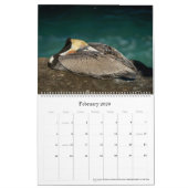 Calendrier California Flora and Fauna 2025 (Feb 2026)