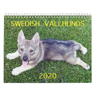 CALENDRIER CALLENDAR DE VALLHUND 2020