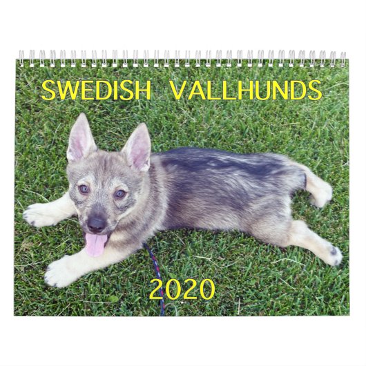 CALENDRIER CALLENDAR DE VALLHUND 2020 (Protection)