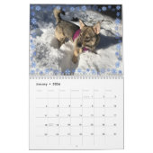 CALENDRIER CALLENDAR DE VALLHUND 2020 (Jan 2026)