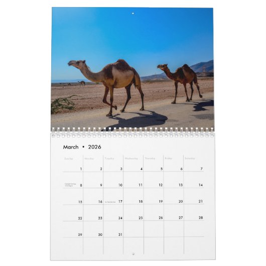 Calendrier Camel (Mar 2026)