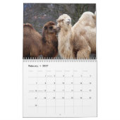 Calendrier Camel 2025 (Feb 2027)