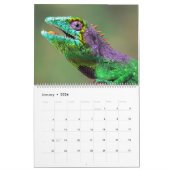 Calendrier Caméléons (Jan 2026)