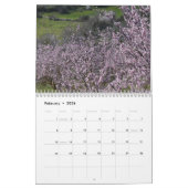 Calendrier Campagne Paphos Chypre par PaphosCalendrierVie (Feb 2026)