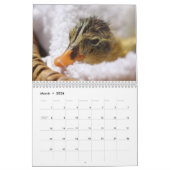 Calendrier Canard courant (Mar 2026)