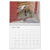 Calendrier Canard courant (Jan 2027)