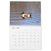 Calendrier Canards (Mar 2026)