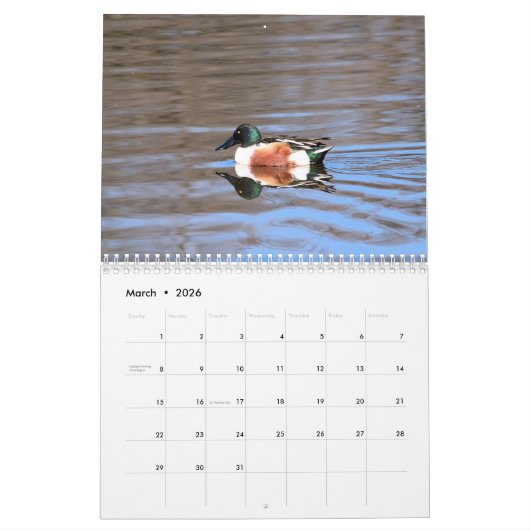 Calendrier Canards (Mar 2026)