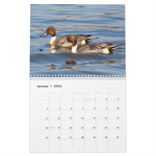 Calendrier Canards (Jan 2026)
