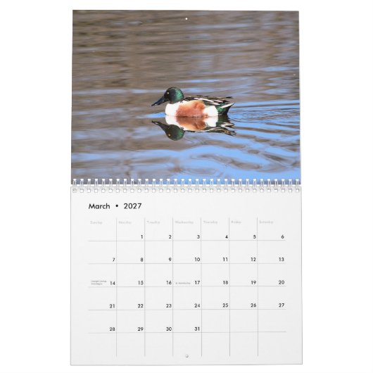 Calendrier Canards (Mar 2027)