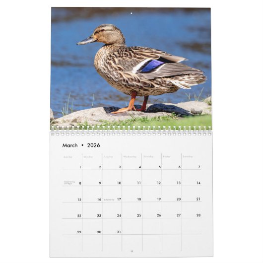 Calendrier Canards 2026 (Mar 2026)