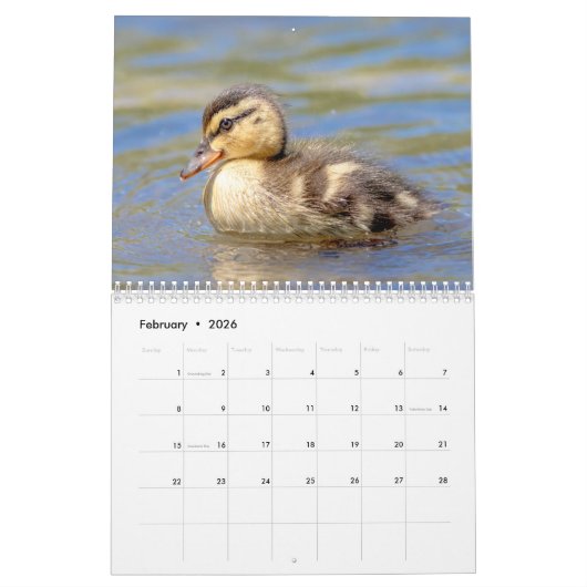 Calendrier Canards 2026 (Feb 2026)