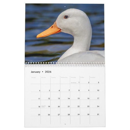 Calendrier Canards 2026 (Jan 2026)