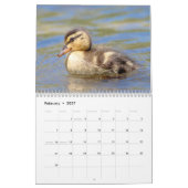 Calendrier Canards 2026 (Feb 2027)