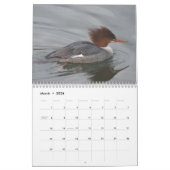 Calendrier Canards de l'Amérique du Nord, 2011 (Mar 2026)