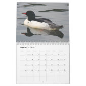 Calendrier Canards de l'Amérique du Nord, 2011 (Feb 2026)