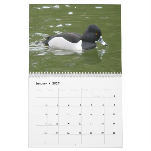 Calendrier Canards de l'Amérique du Nord, 2011 (Jan 2027)