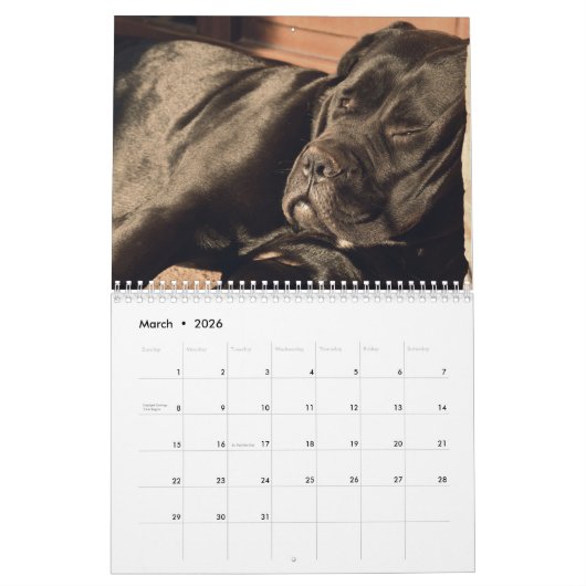 Calendrier Cane Corso (Mar 2026)