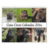 Calendrier Cane Corso (Protection)