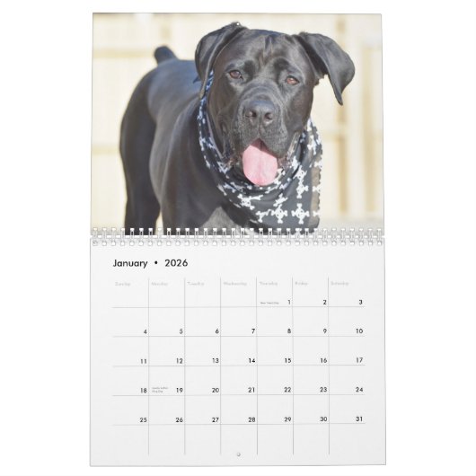 Calendrier Cane Corso (Jan 2026)
