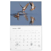 Calendrier Caneton 2016 d'animaux de faune d'oiseaux de (Jan 2027)