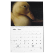Calendrier Caneton 2016 d'animaux de faune d'oiseaux de (Mar 2027)