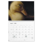 Calendrier Caneton 2016 d'animaux de faune d'oiseaux de (Mar 2026)