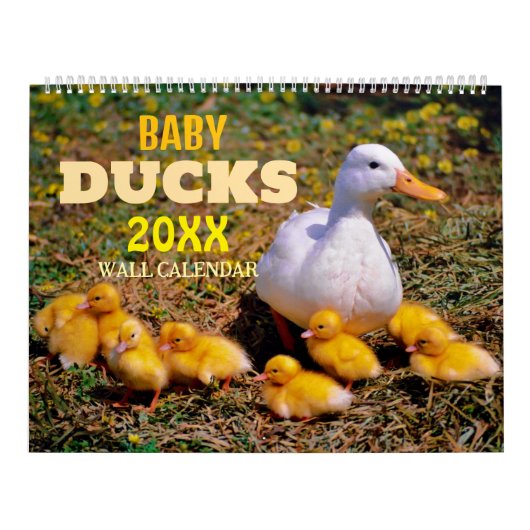 Calendrier Canetons Mignons 2027 Mur (Protection)