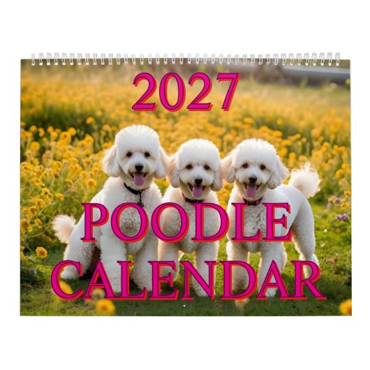 CALENDRIER CANICHE 2027 (Protection)