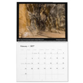 Calendrier Canyonscapes 2022 (Feb 2027)