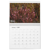 Calendrier Cape Carnivores 2022 (Jan 2027)