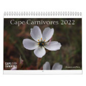 Calendrier Cape Carnivores 2022 (Protection)