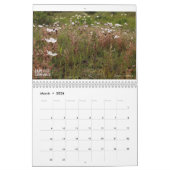 Calendrier Cape Carnivores 2022 (Mar 2026)