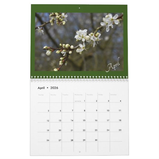 Calendrier Capturer la calandre beauté de la nature (Apr 2026)