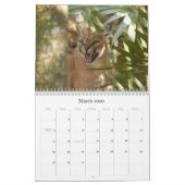 Calendrier CaracalBCR058, Caracal Lynx (Mar 2026)