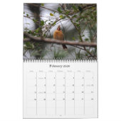 Calendrier cardinal (Feb 2026)