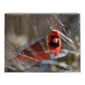 Calendrier cardinal 2020 (Protection)