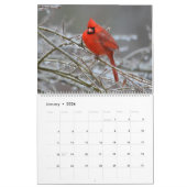 Calendrier cardinal 2020 (Jan 2026)